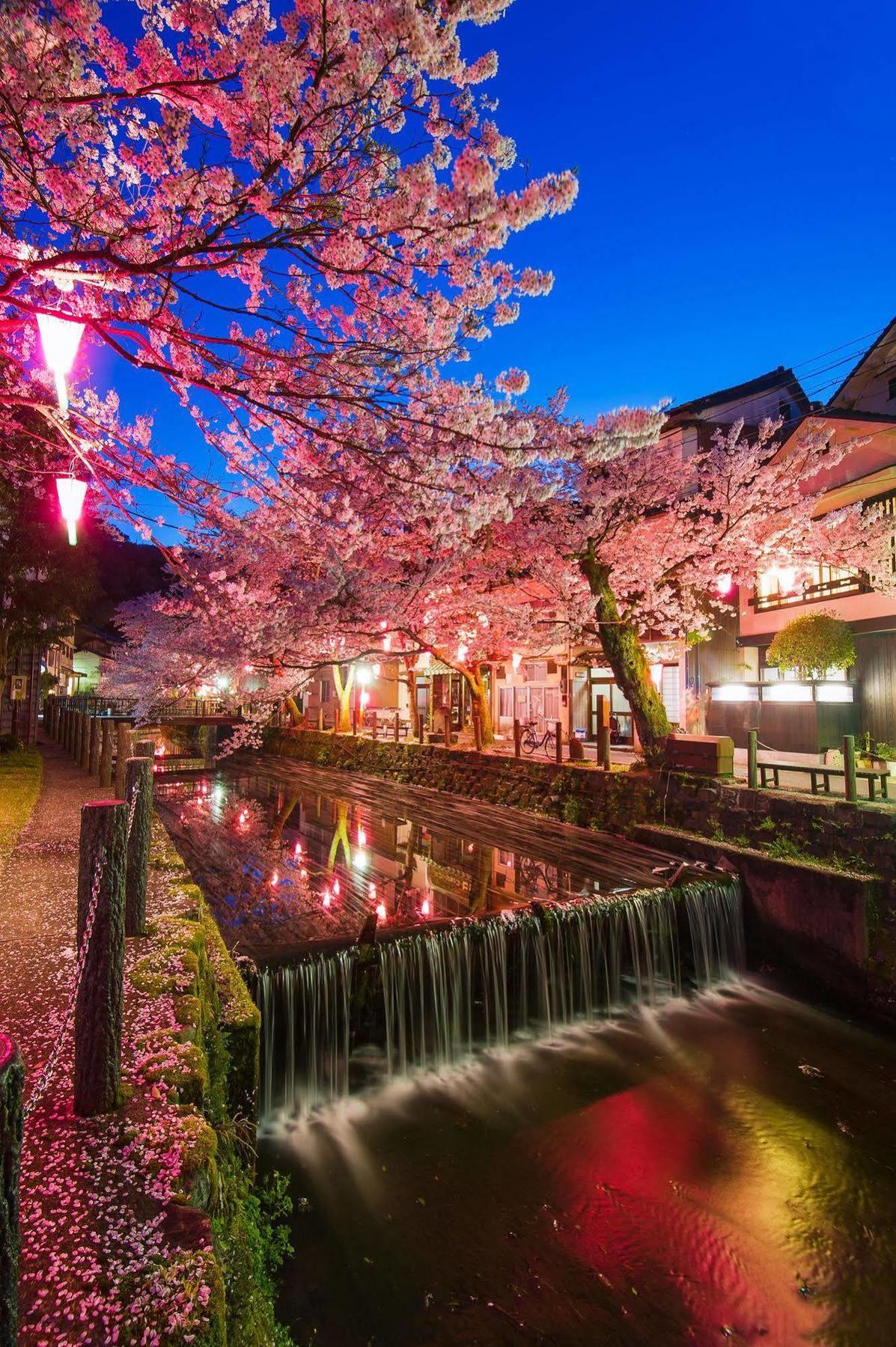 Yutouya Ryokan 丰冈市 外观 照片